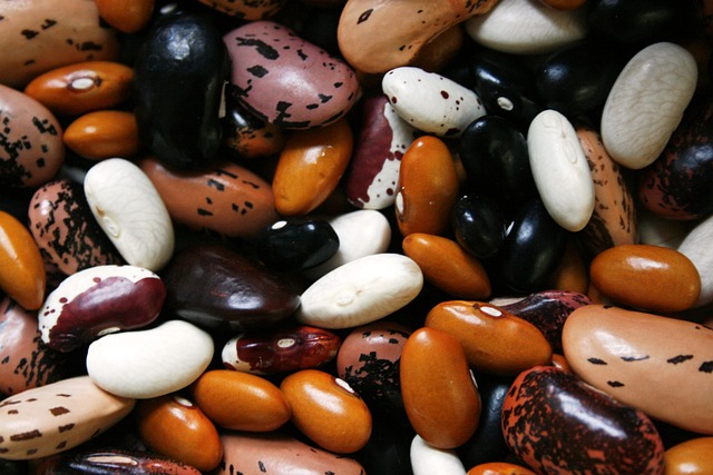 Heirloom Bean Seeds