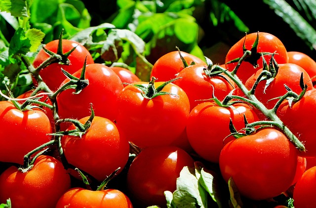 Heirloom Tomato Seeds