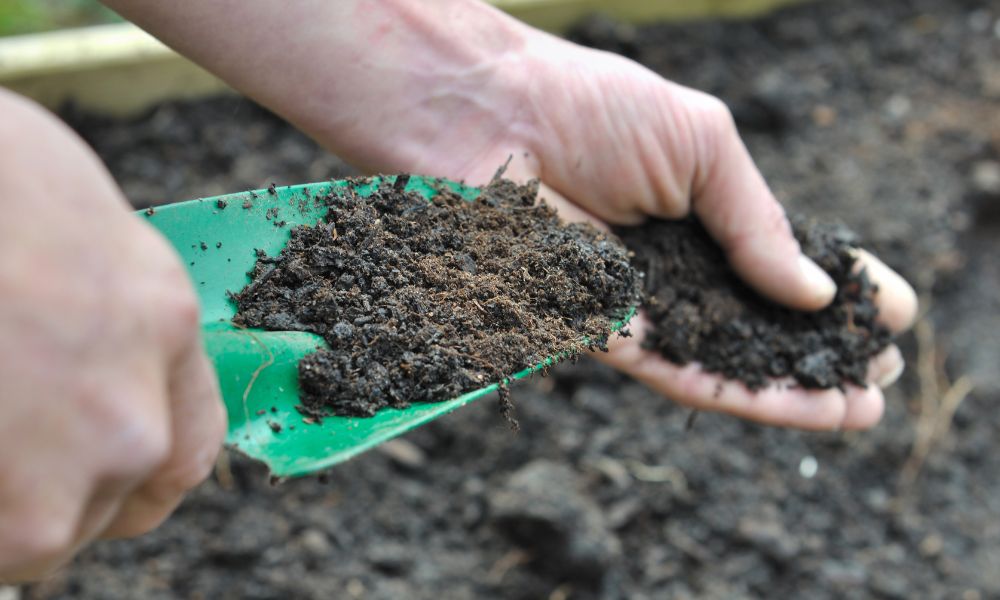 3 Helpful Tips for Using Compost in Your Garden