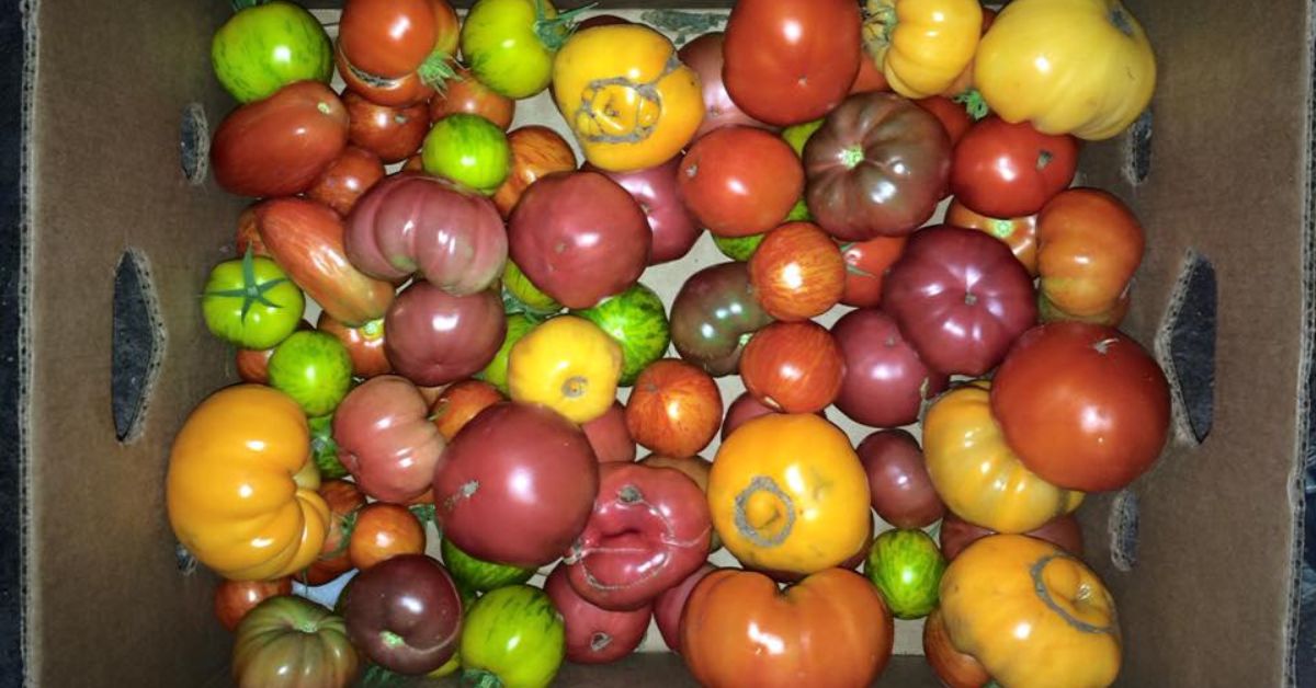 Tips for Cooking With Home-Grown Heirloom Vegetables